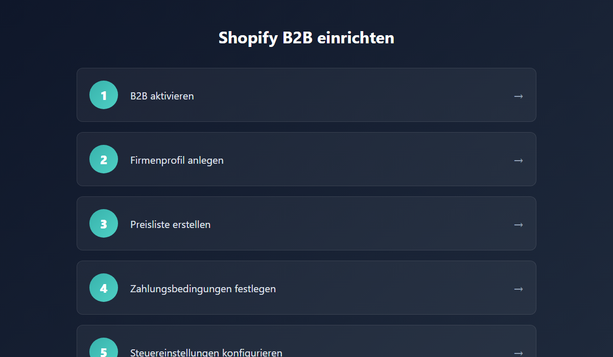 shopify b2b - Shopify B2B einrichten